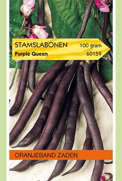 Oranjeband zaden Stamslabonen Purple Queen - Groentezaden