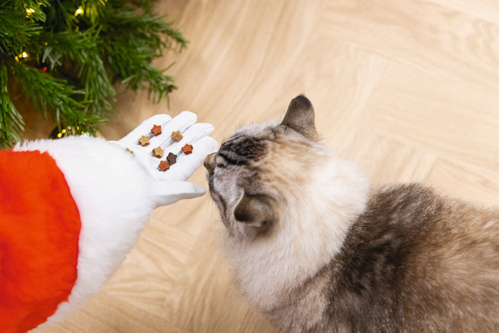 Beeztees Star Mix Granen - Kattensnack - 140 Gram - grill