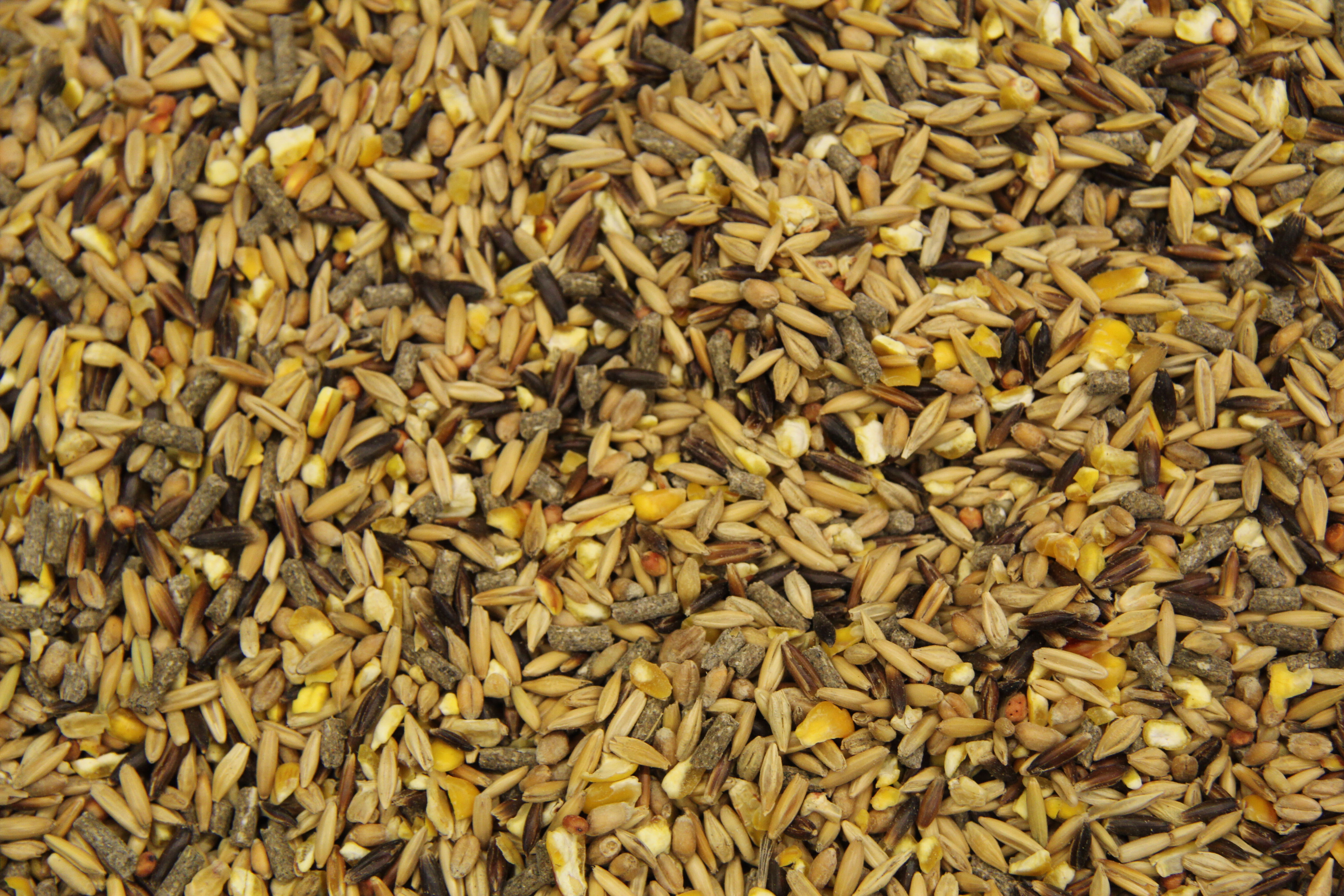 Subli Granenmix+ - Sport/ prestatie - 20 Kilogram - Zak