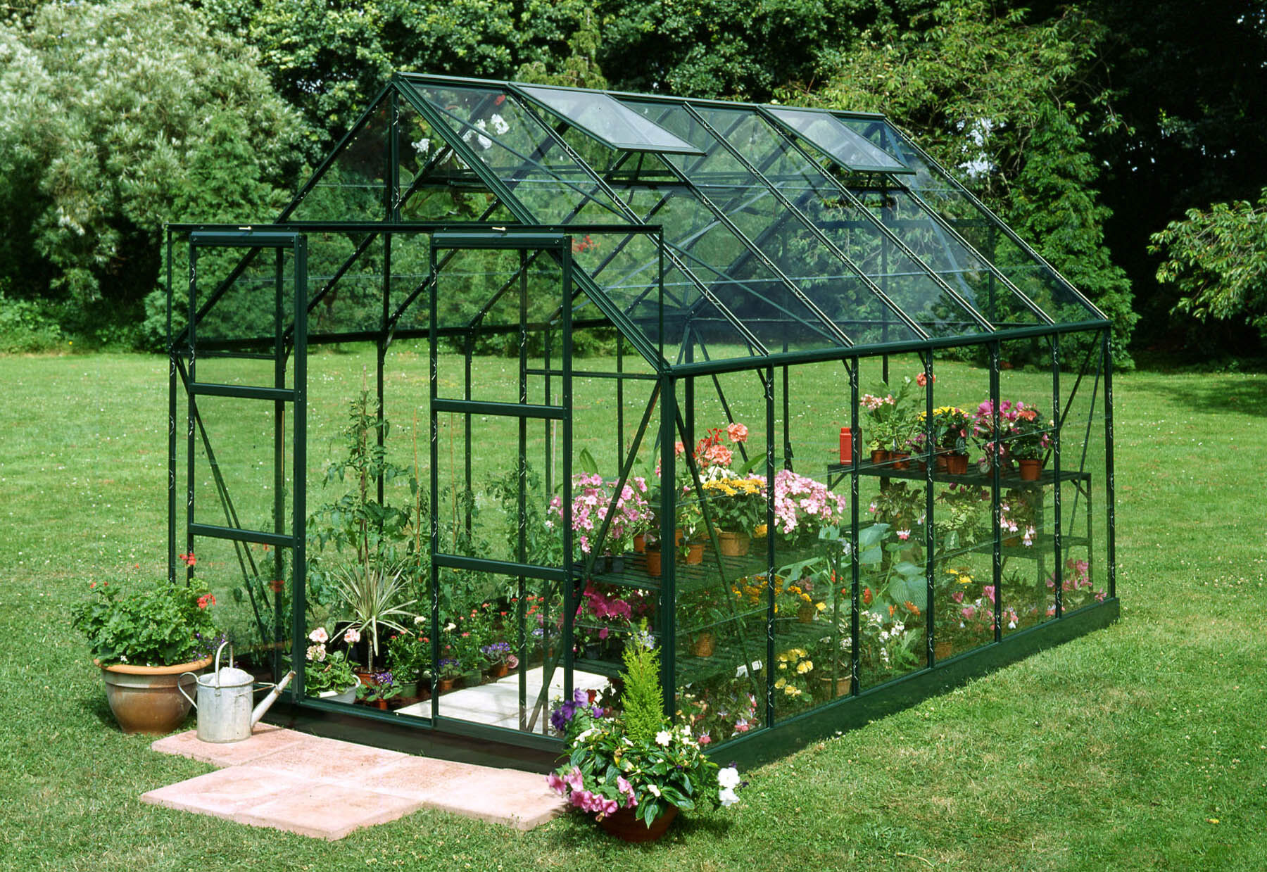 Halls Magnum 128 - Tuinkas - Groen - 258x257x384 cm - Veiligheidsglas