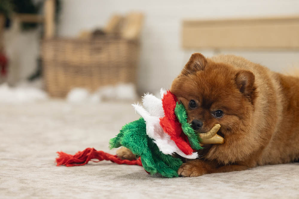 Beeztees Kerstboom - Knuffel - Flowtouw- Kerst Hondenspeelgoed