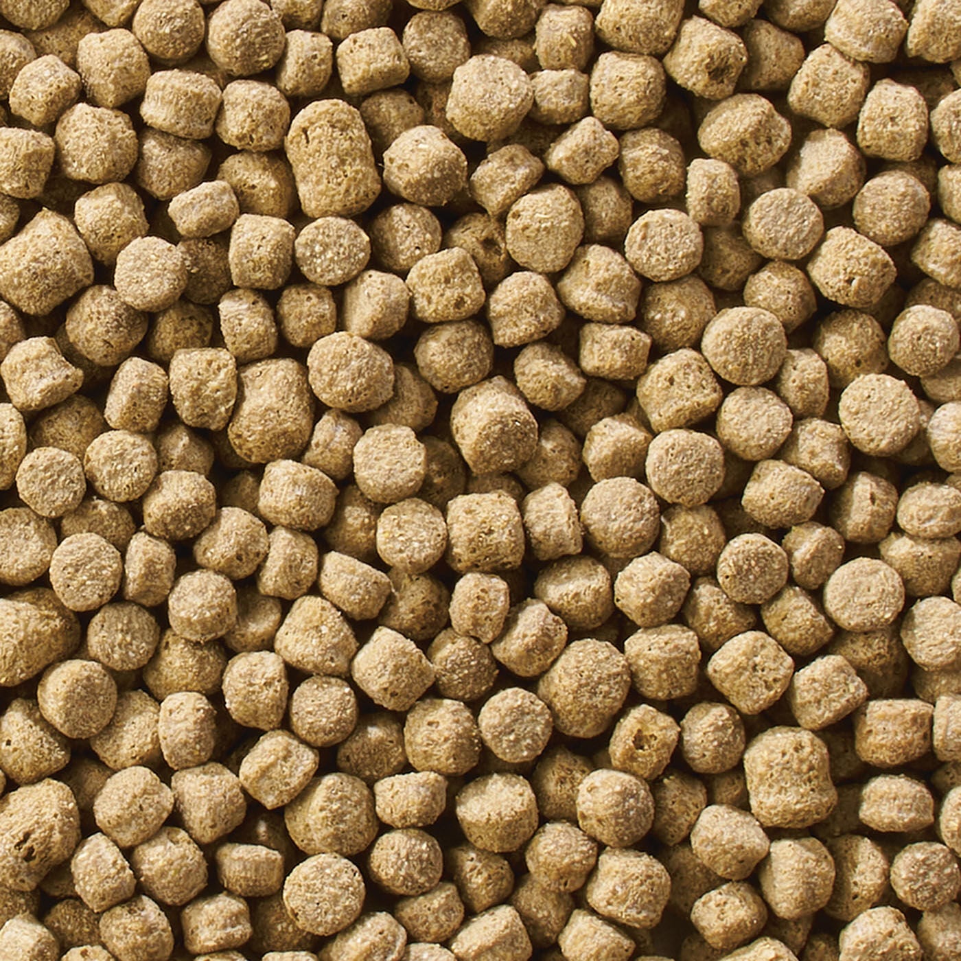 Welkoop Drijvende voeding - Watervogelvoer - 12 Kilogram