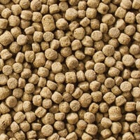 Welkoop Drijvende voeding - Watervogelvoer - 12 Kilogram