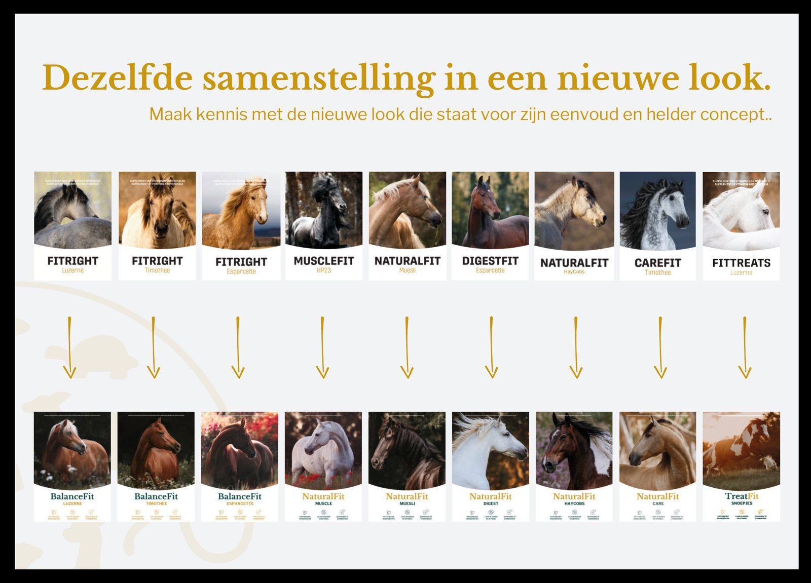 Metazoa Fitright Esparcette - Specialiteit - Paardenvoer - 15 Kilogram - Zak