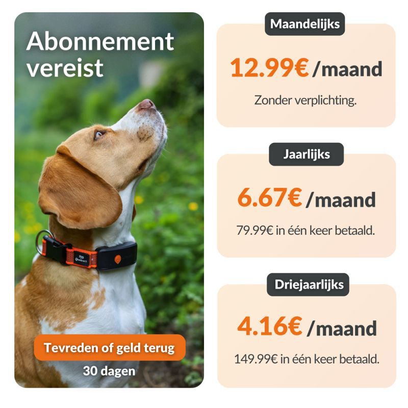 Weenect XT - Halsband met GPS tracker - Oranje