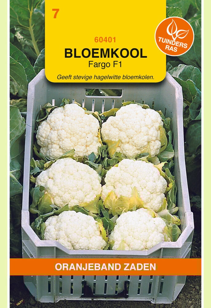 Oranjeband zaden Bloemkool Fargo F1 - Groentezaden
