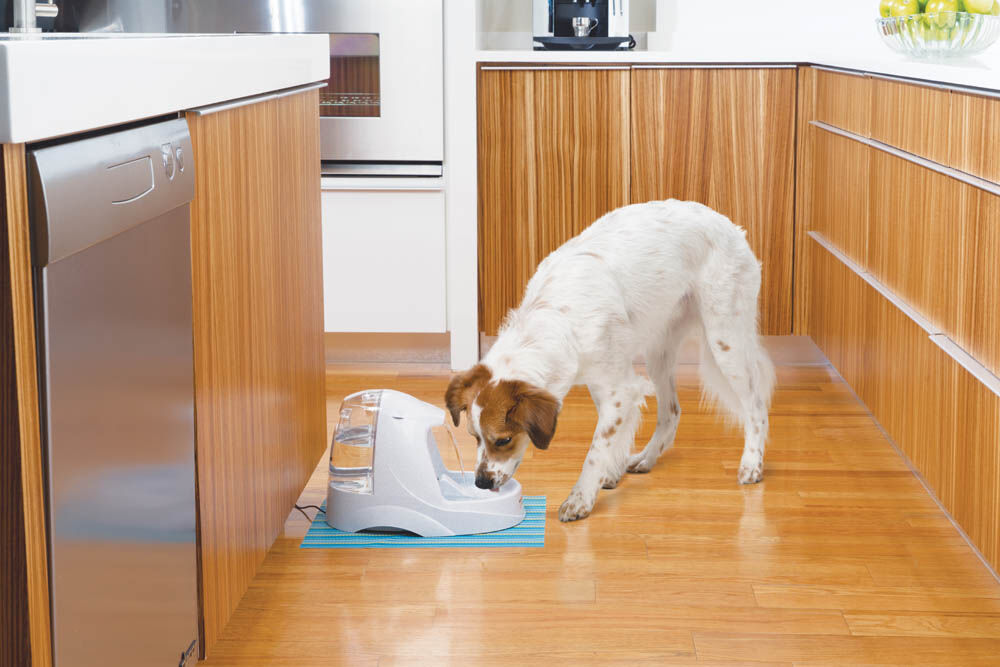 Petsafe Platinum - Drinkfontein - Multi - 40x27x27 cm