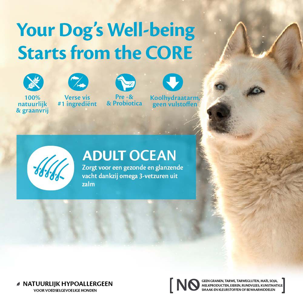 Wellness CORE Adult Ocean Medium-Large- Breed - Hondenvoer - 1.8 Kilogram - tonijn, zalm