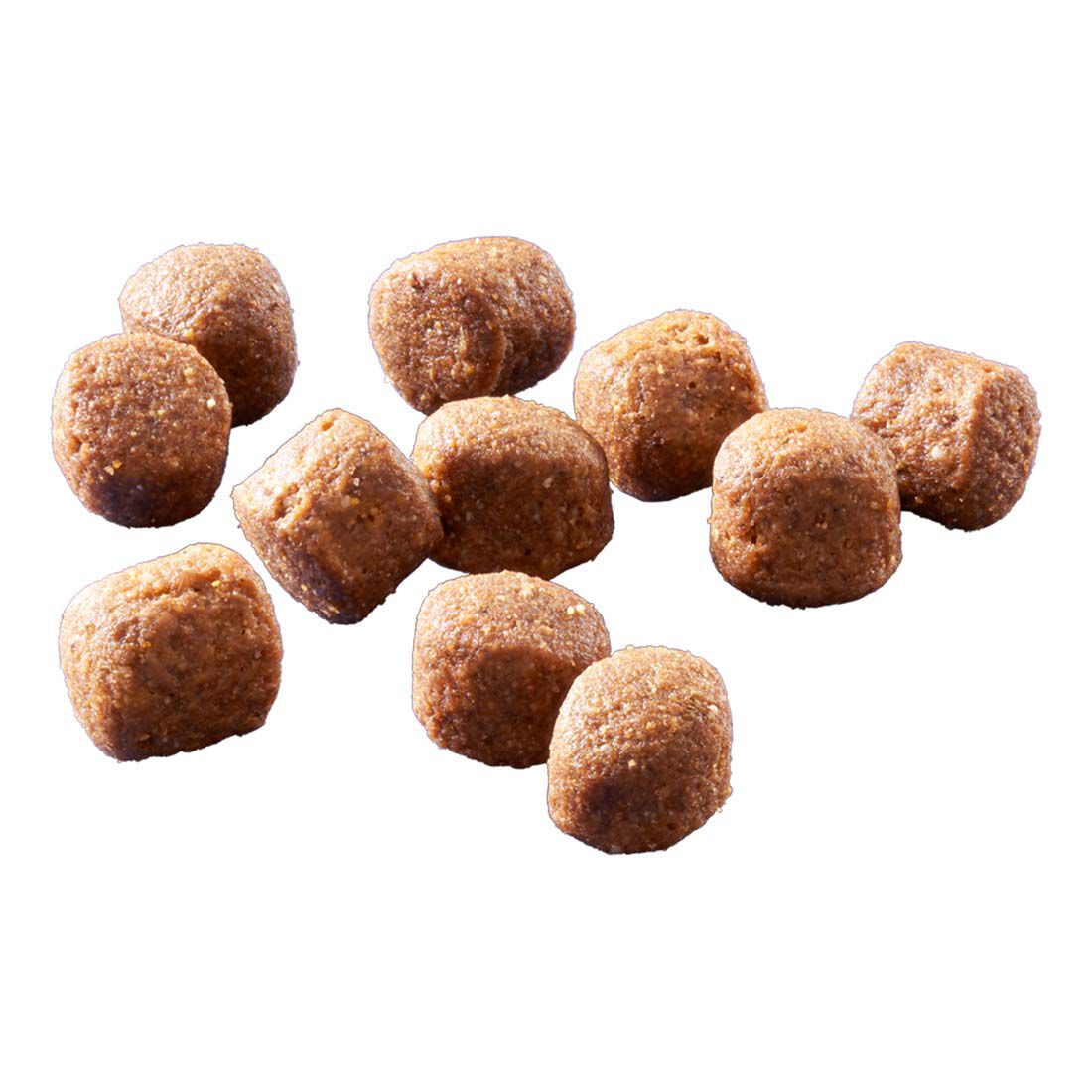 Welkoop Select Adult Maxi Krokante brokken - Hondenvoer - 12 Kilogram - kip