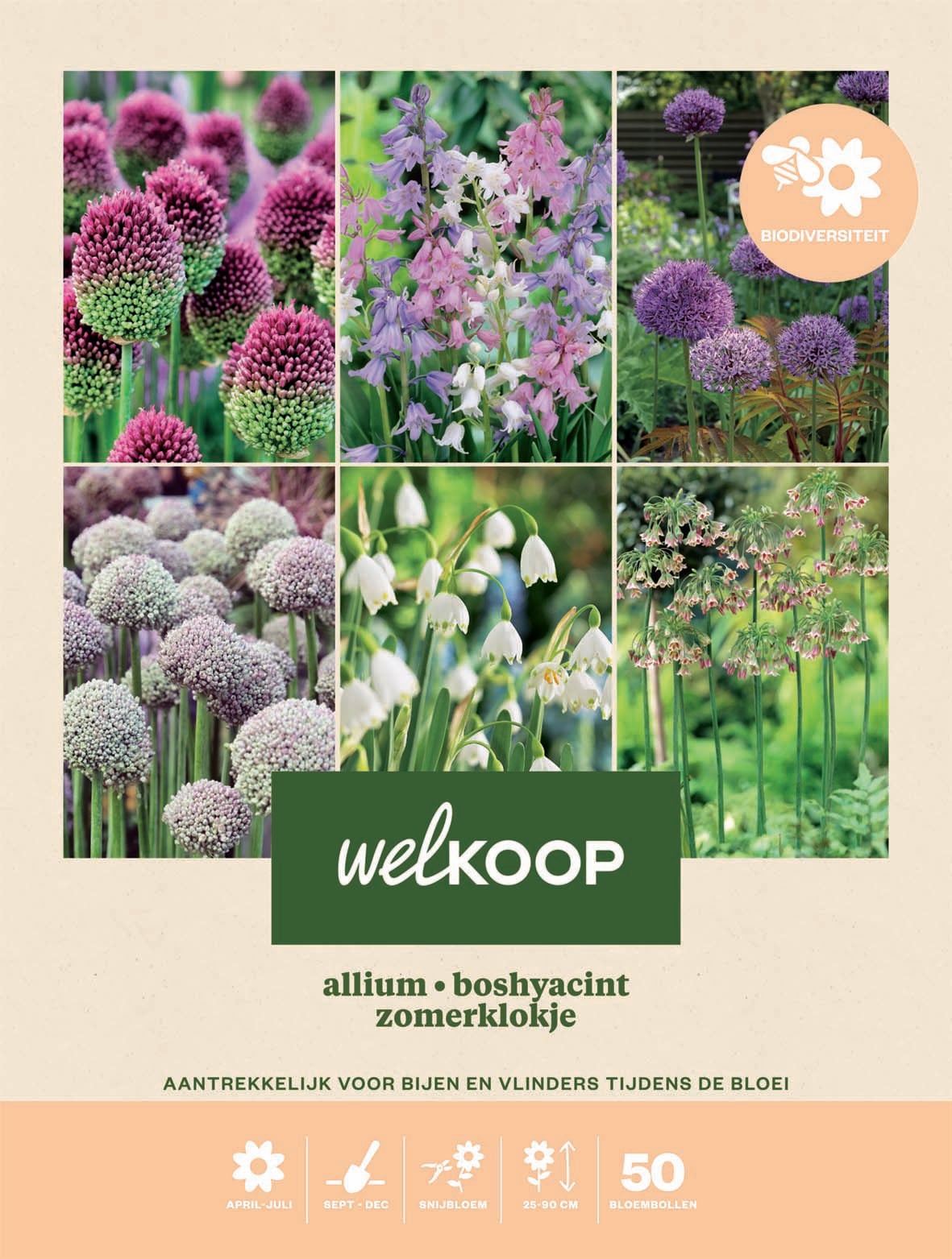 Welkoop Hyacint Zomerklokje Allium Biodiversiteit - Bloembollen Welkoop Hyacint Zomerklokje Allium Biodiversiteit - Bloembollen