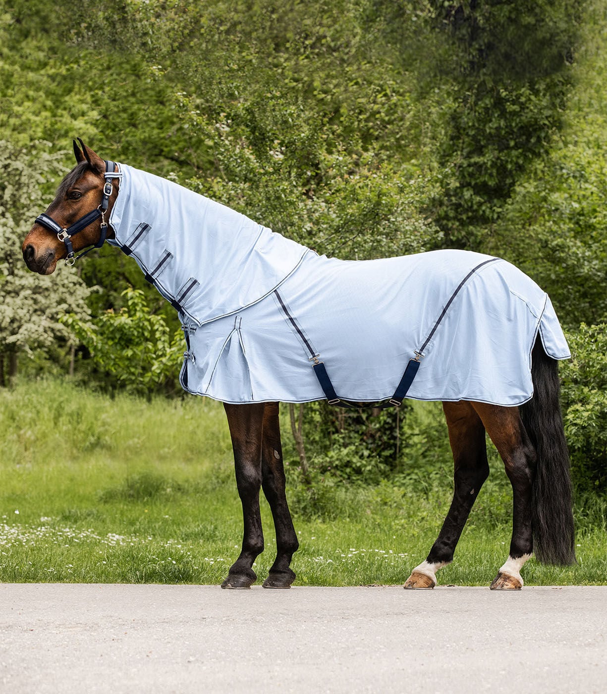 Waldhausen Protect - Vliegendeken Paard - Met Hals