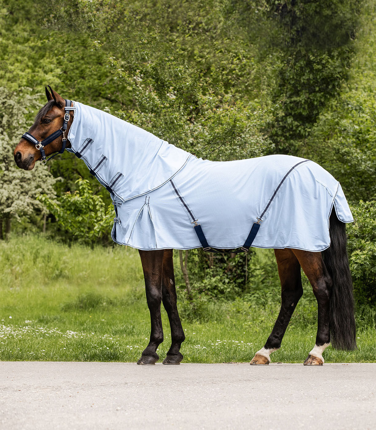 Waldhausen Protect - Vliegendeken Paard - Met Hals - Zilver - 125/175