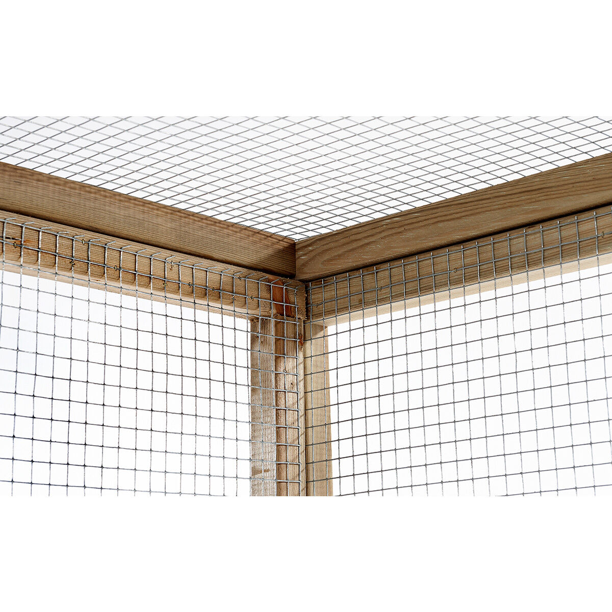 Glorenza - Volière - Naturel - Rechts