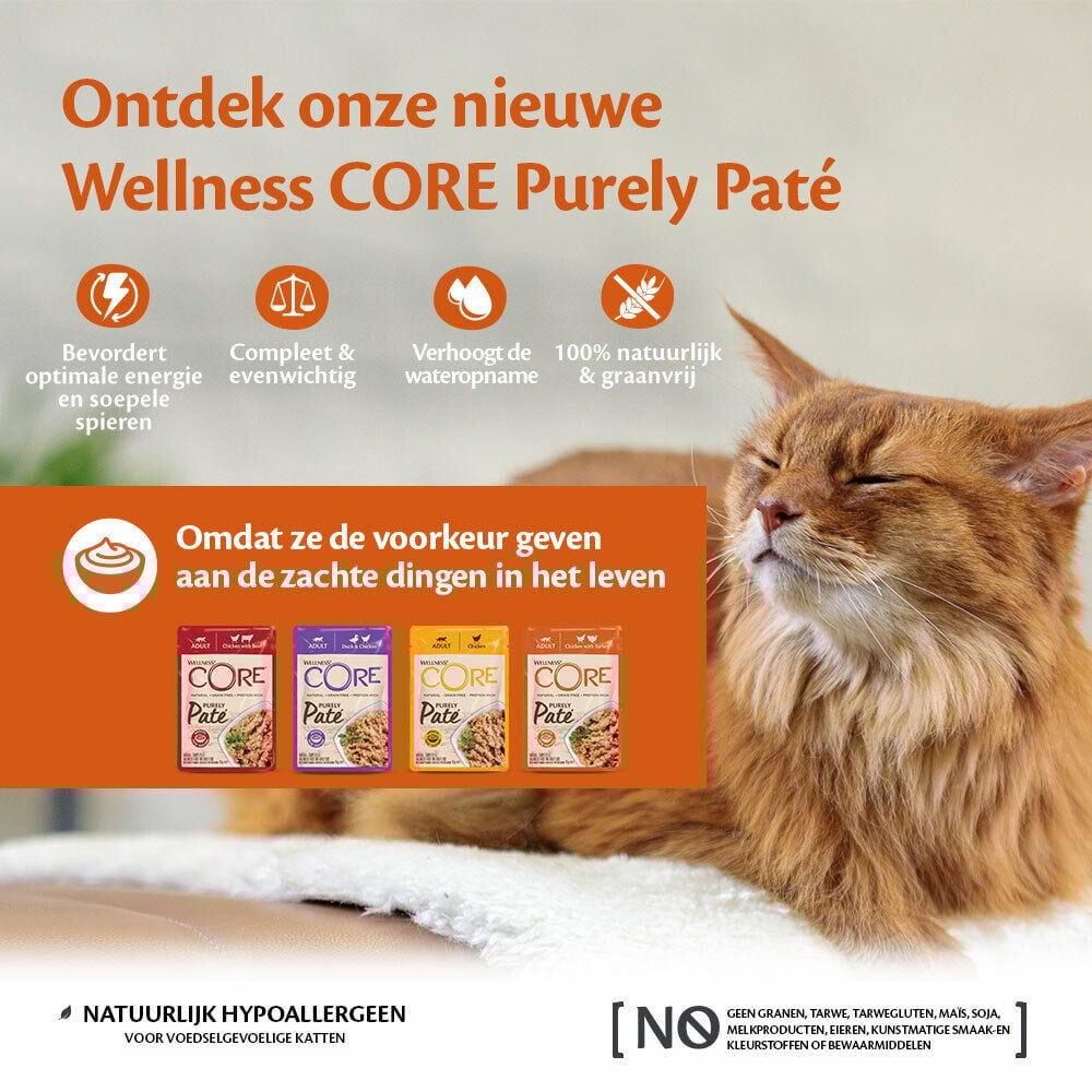 Wellness Core Purely Pate - Kattenvoer - 85 Gram - kip