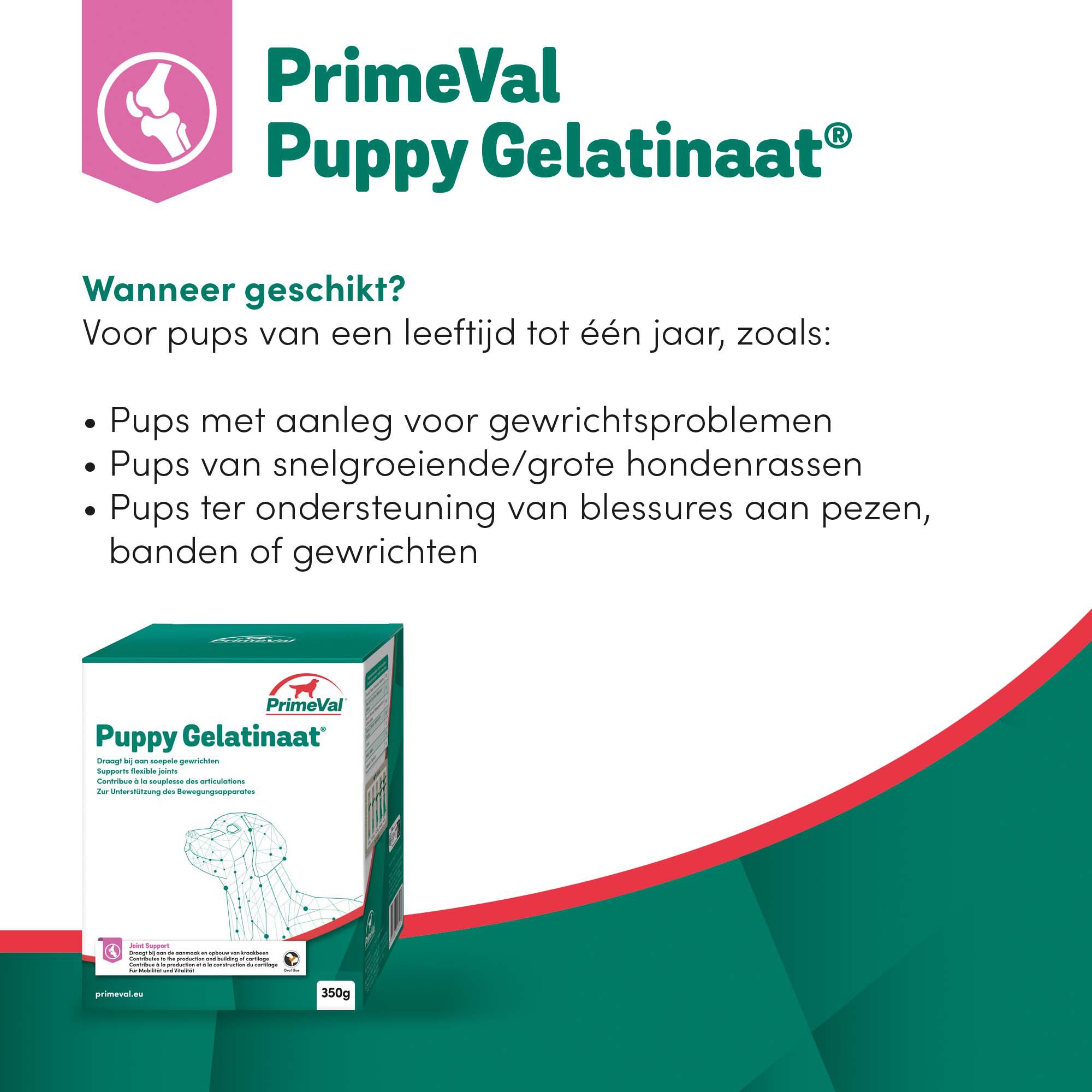 Primeval Gelatinaat Puppy - Voedingssupplement - 350 Gram