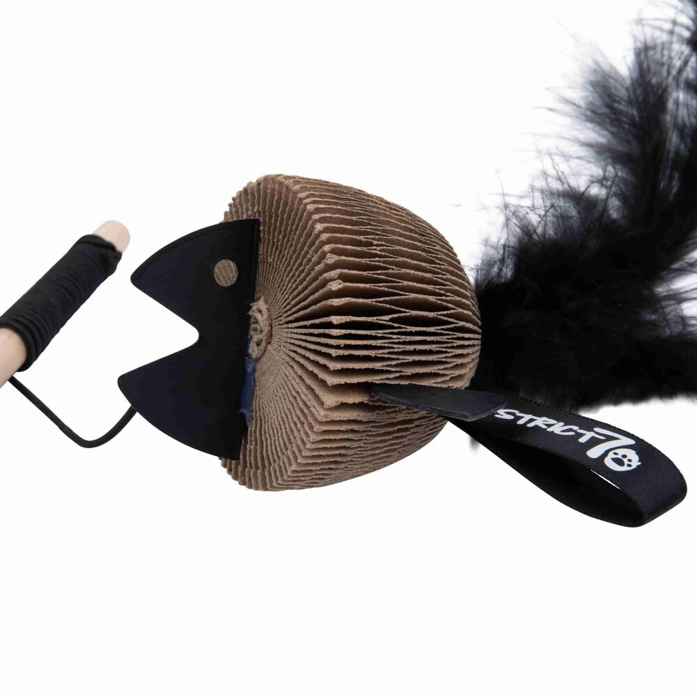 District 70 BAIT - Kattenhengel