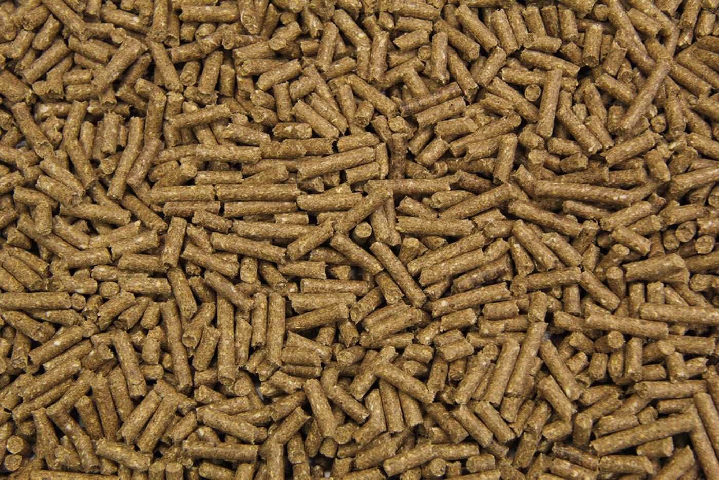 Subli Basisbrok - Basisvoeding - Paardenvoer - 20 Kilogram - Zak