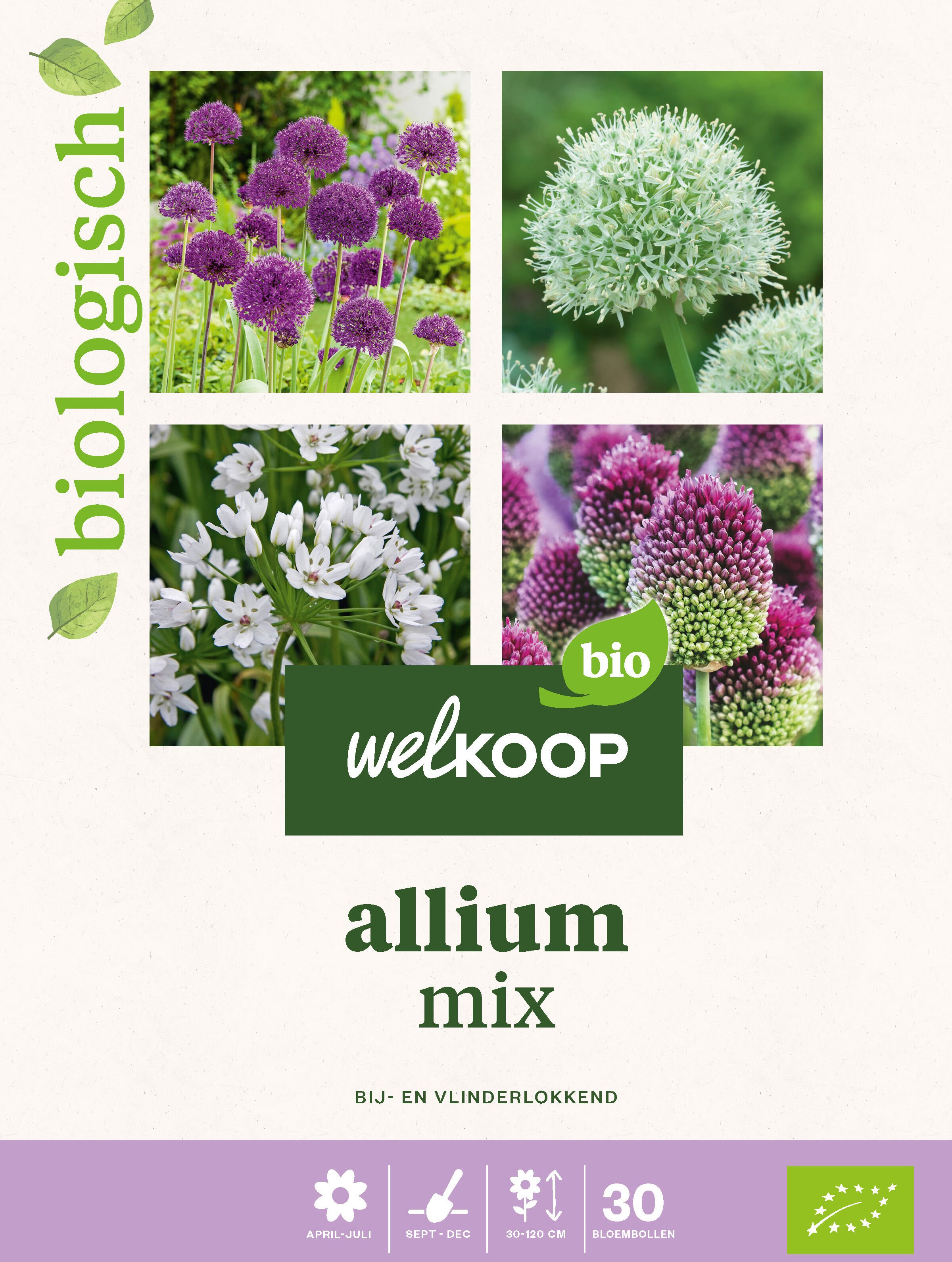 Welkoop Biologisch Allium mix - Bloembollen