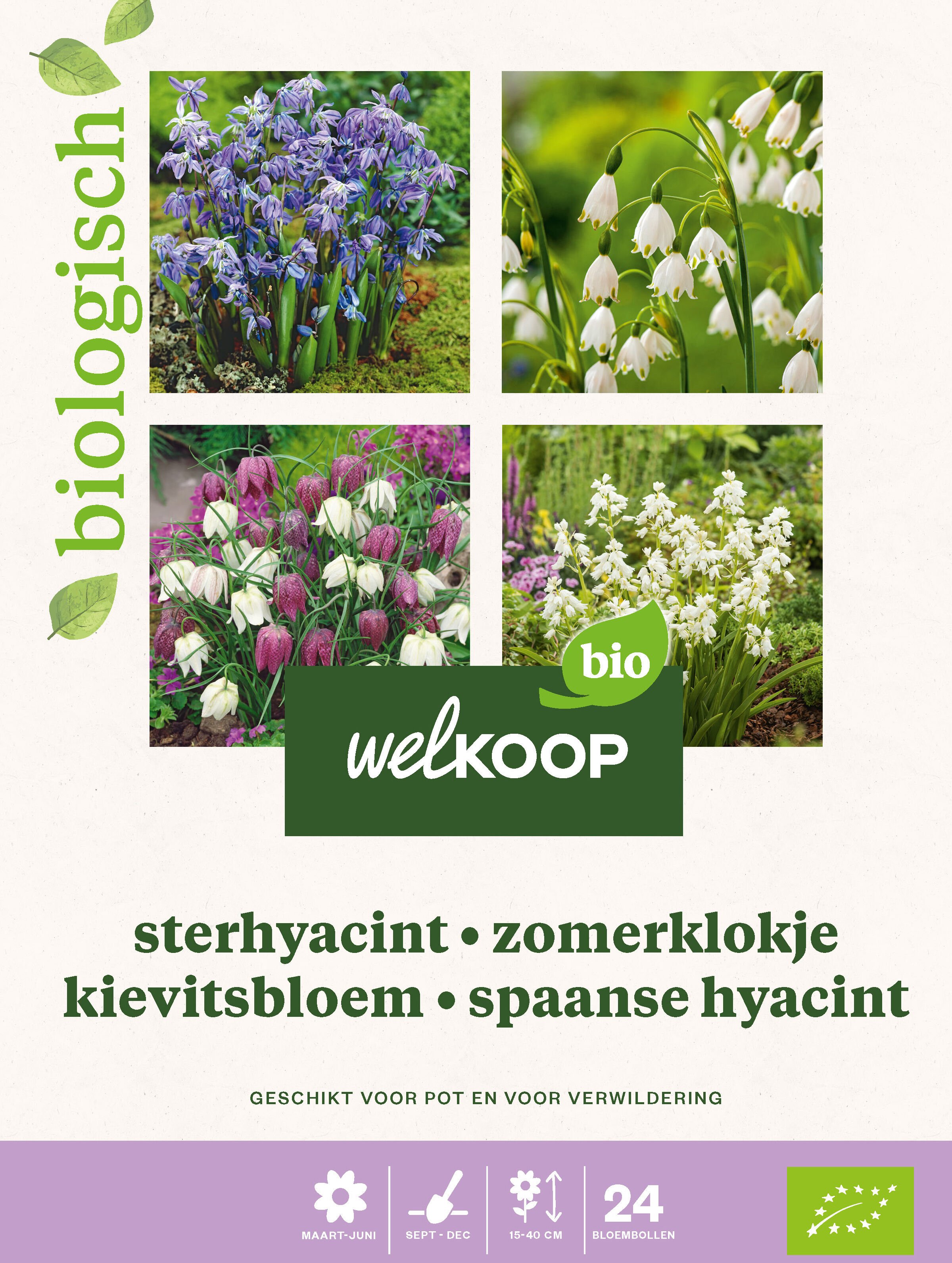 Welkoop Hyacint Allium Krokus Biologisch - Bloembollen