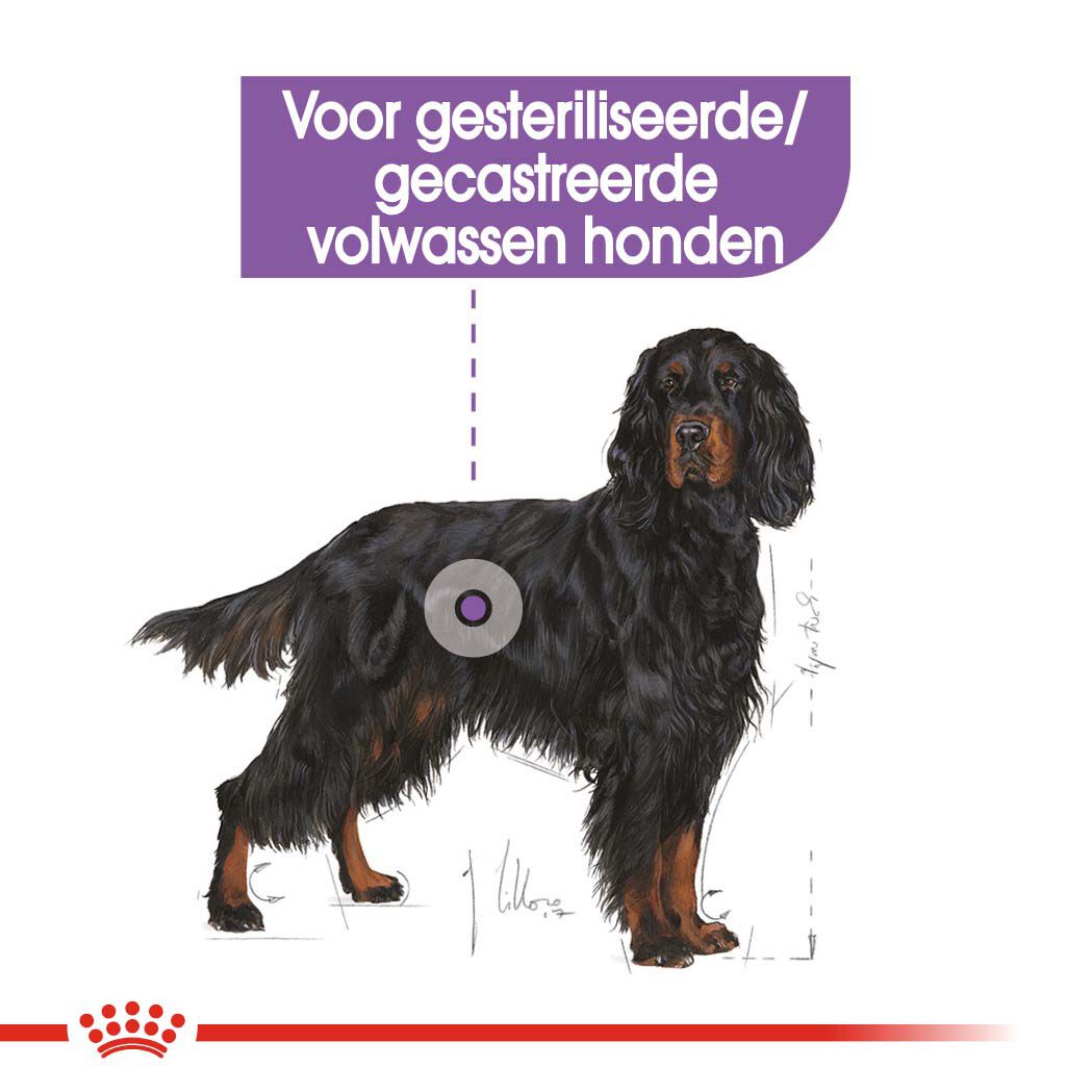 Royal Canin Sterilised Maxi  Adult - Hondenvoer - 12 Kilogram - gevogelte