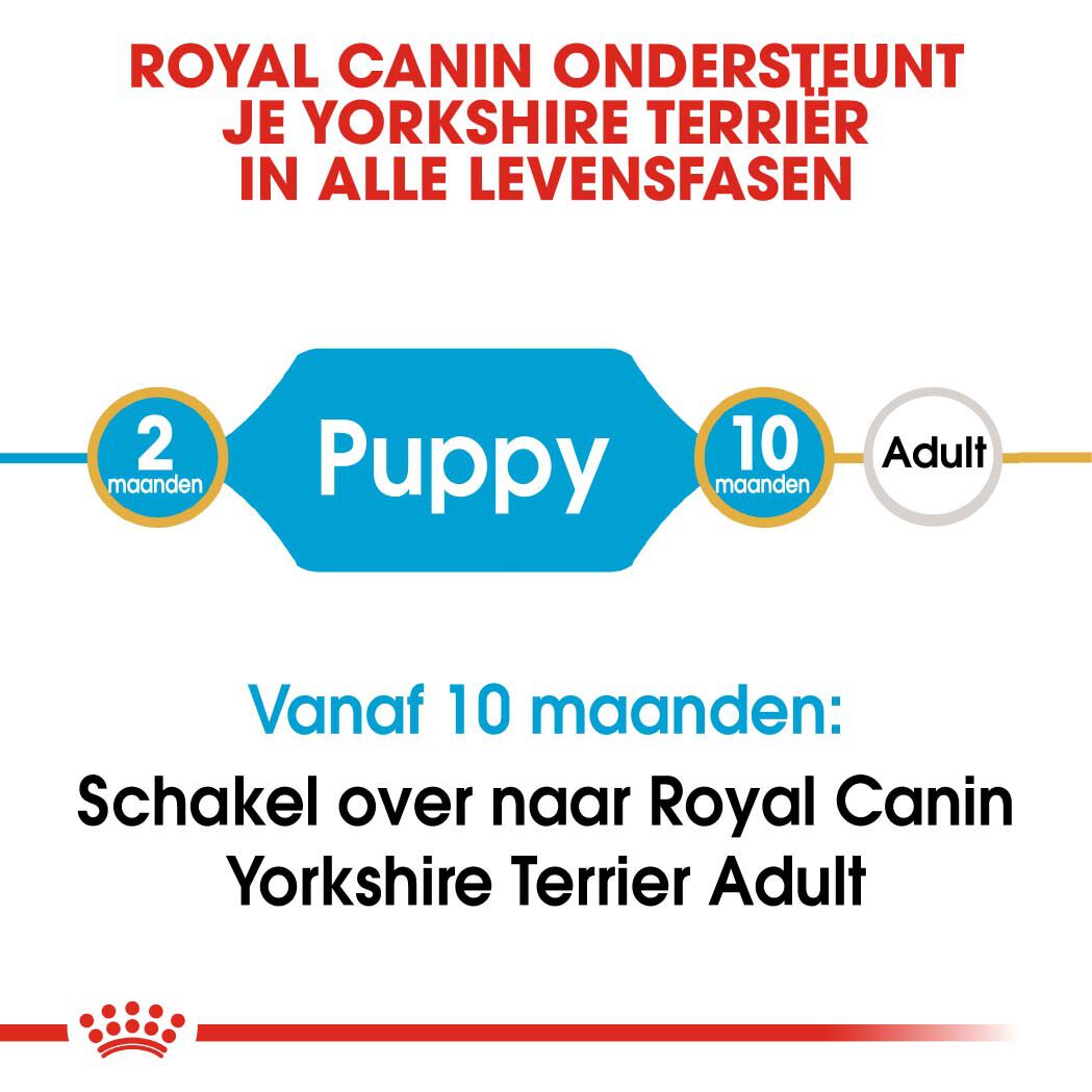 Royal Canin Yorkshire  Terrier Puppy - Hondenvoer - 1.5 Kilogram - gevogelte