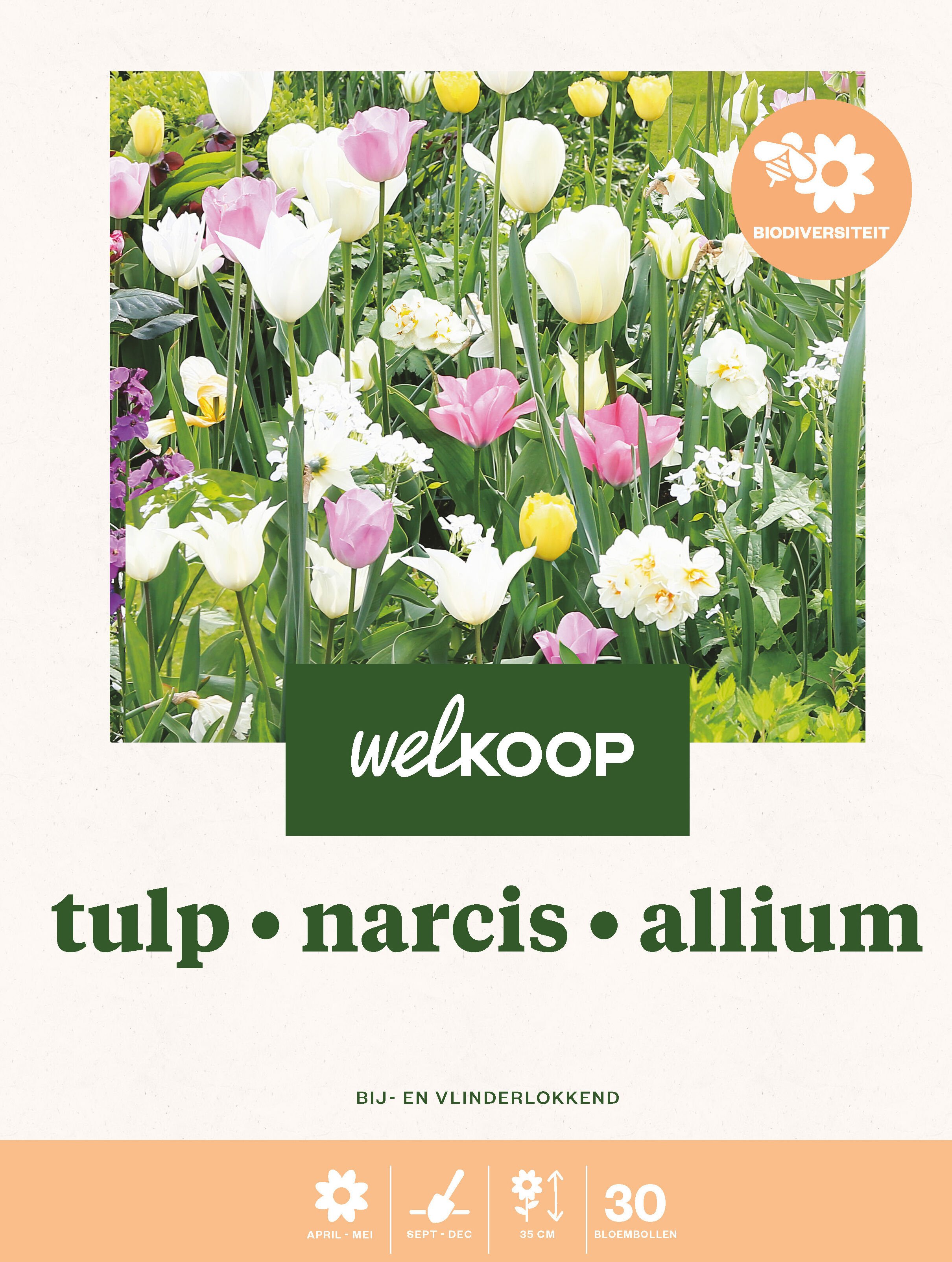 Welkoop Tulp Narcis Allium Biodiversiteit - Bloembollen