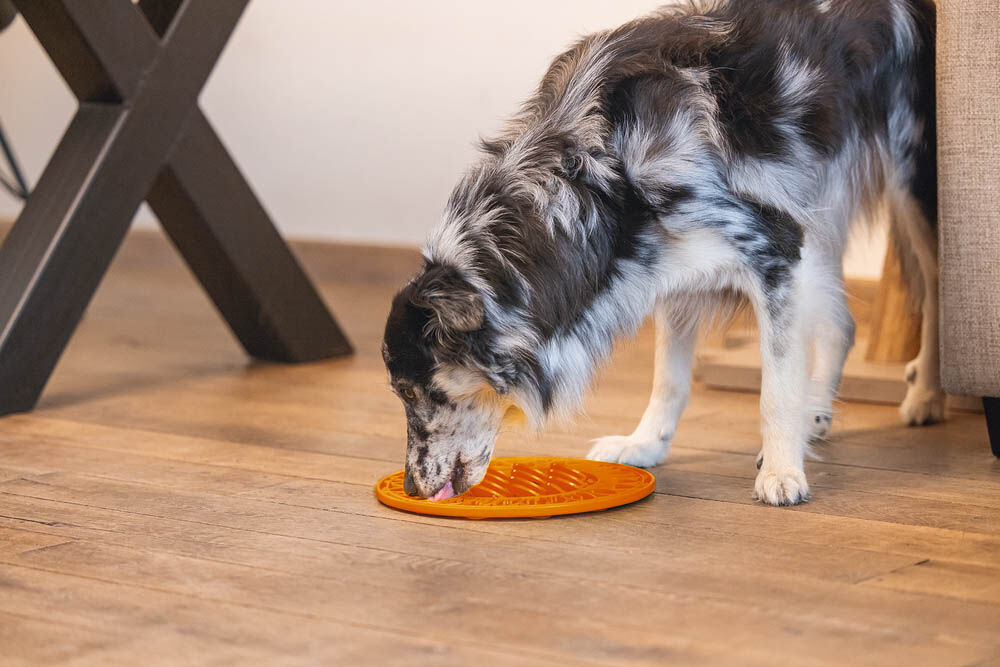 Beeztees Zonnebloem - Likmat - Oranje
