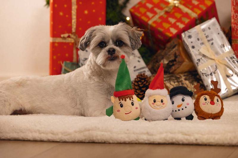 Beeztees Kerstfiguren - Knuffel - Hondenspeelgoed - Multi - 5x75x1 cm