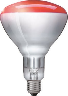 Philips - Warmtelamp - Wit - 17.5x11.8x11.8 cm - 150 W