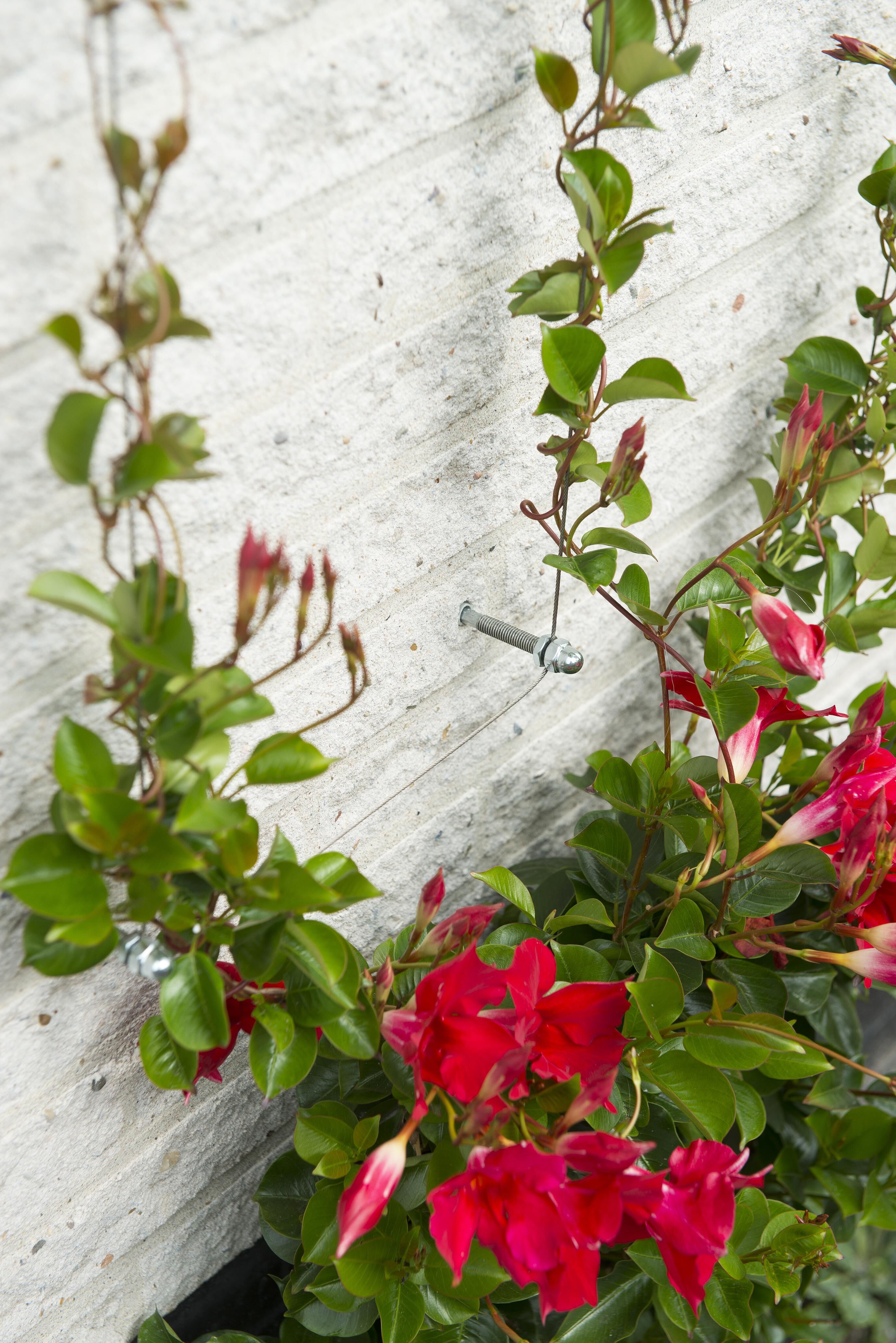 Nature - Klimrek draadset - 21x12.5x2.5 cm