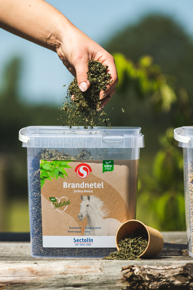 Sectolin Brandnetel Kruid - Weerstandsupplement Paard - 0.5 Kilogram - Emmer