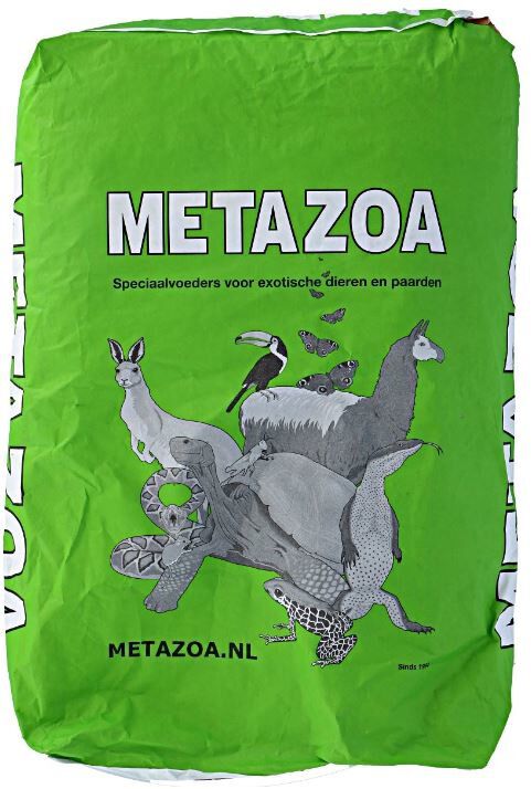 Metazoa Kangoeroekorrel