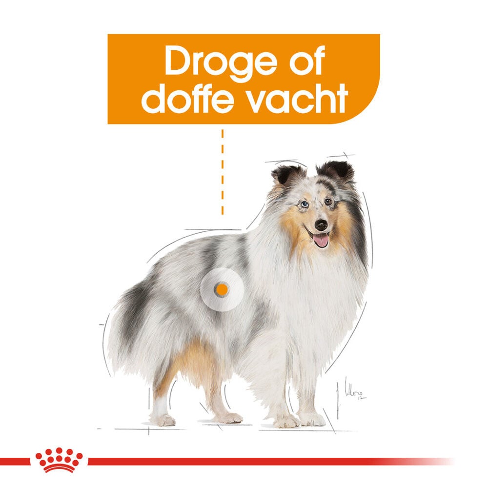 Royal Canin Coat Care Wet - Hondenvoer - 12x85 gram - 1020 Gram - gevogelte