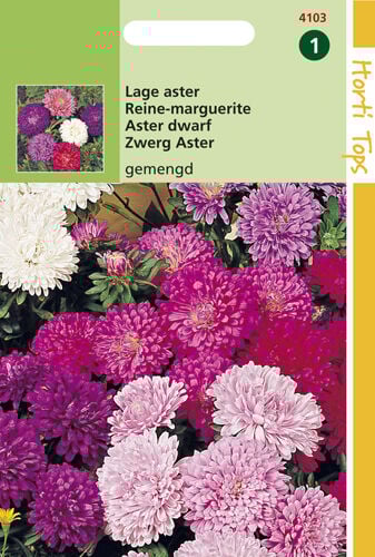 Hortitops Lage Aster Mixed - Bloemzaden