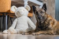 Beeztees Schaap Knuffel- Hondenspeelgoed - Wit - 20.5x39x80 cm - XL
