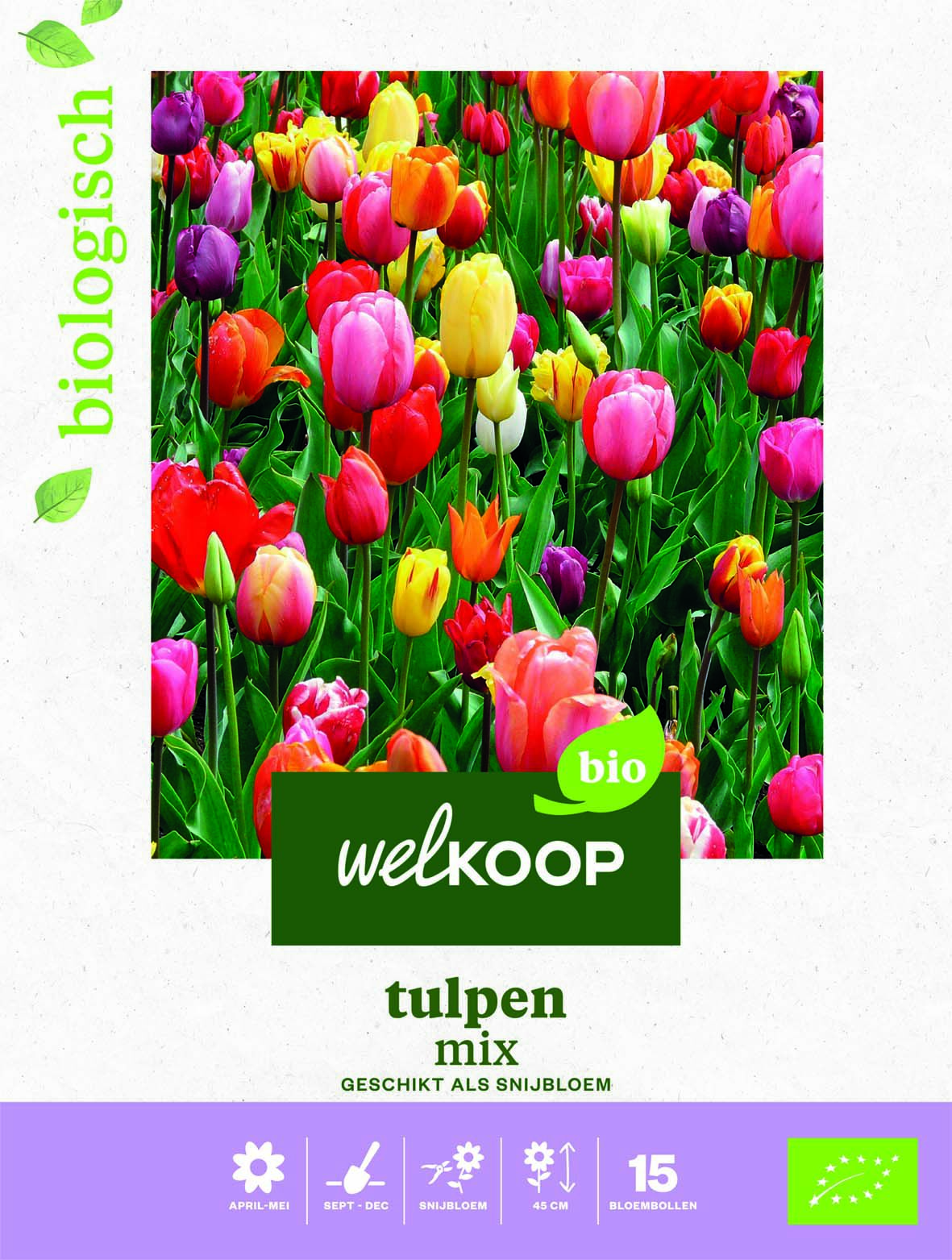 Welkoop Tulpen mix Biologisch - Bloembollen