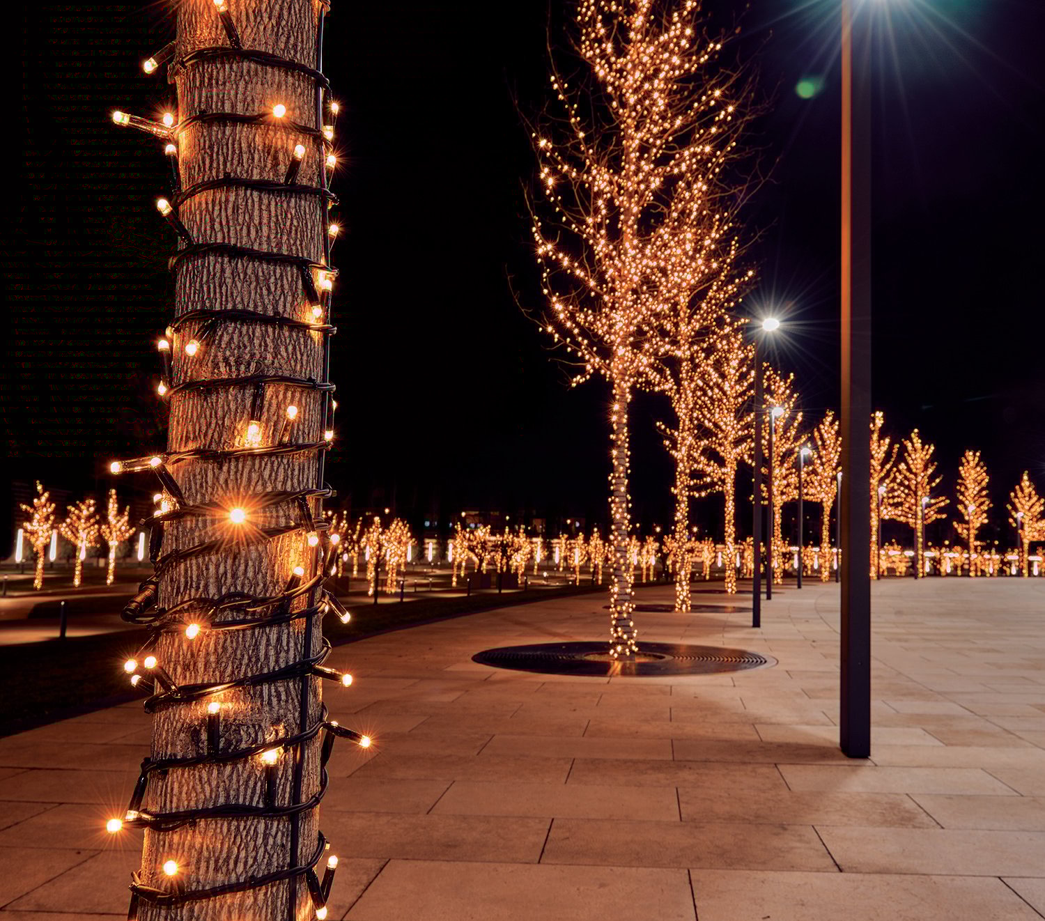 Anna's Collection - Clusterverlichting - 100 - Klassiek warm wit - 1000 cm