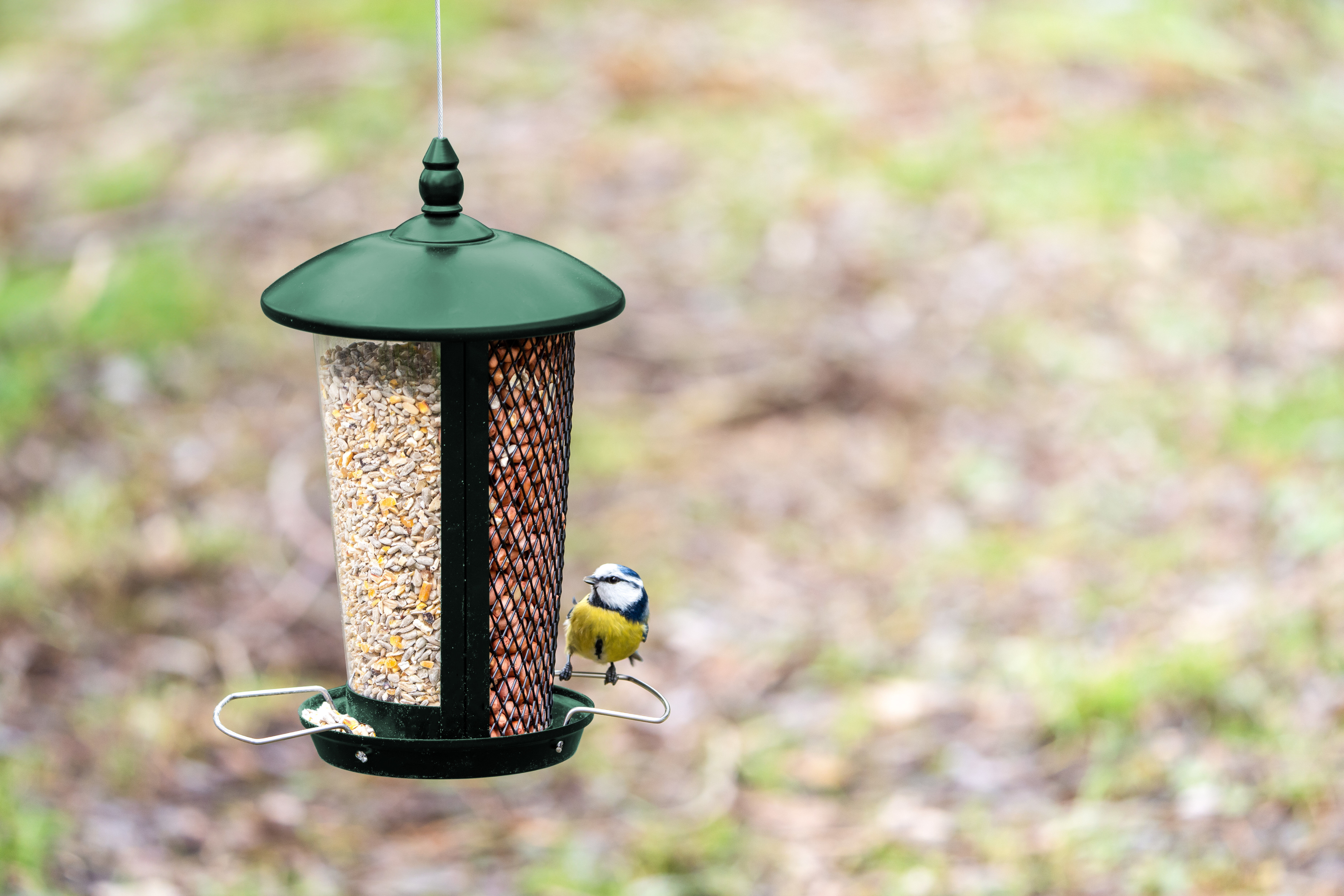 CJ Wildlife Edessa  Combi - Voederhuis Tuinvogels - 27.5x16x16 cm