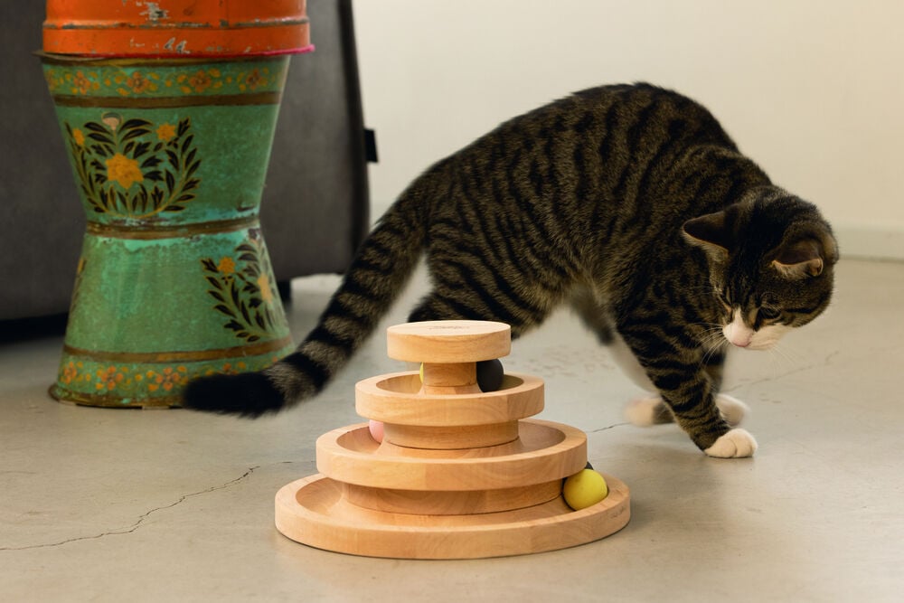 Designed By Lotte Speeltoren Mia - Kattenspeeltje - Naturel - 26x26x14.5 cm