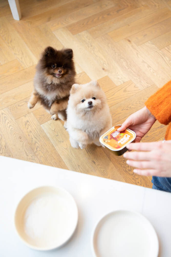 Edgard & Cooper Adult - Hondenvoer - 150 Gram - kalkoen, kip