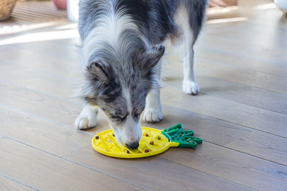Beeztees Ananas - Likmat - Geel