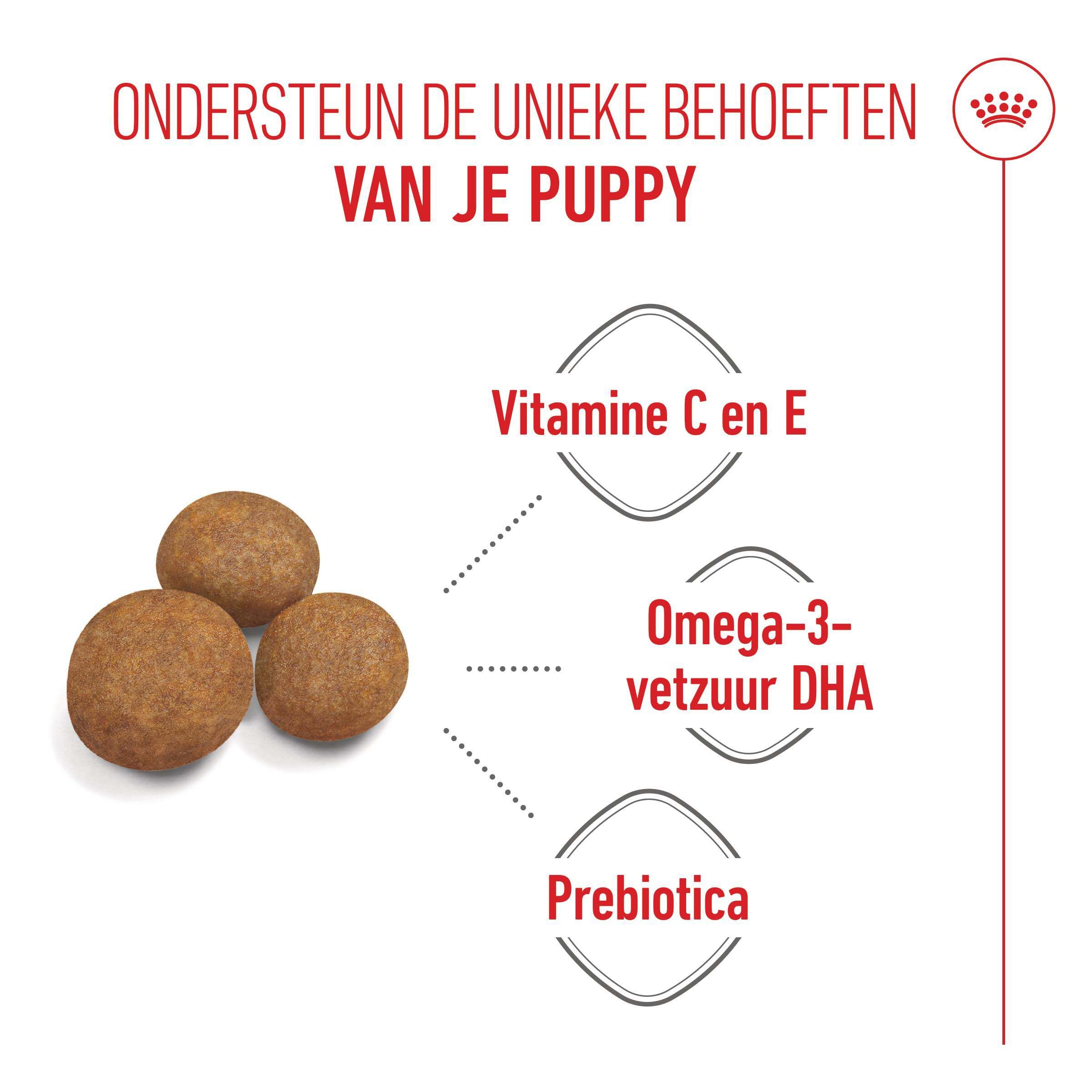Royal Canin SHN Maxi Puppy - Hondenvoer - 10 Kilogram - gevogelte