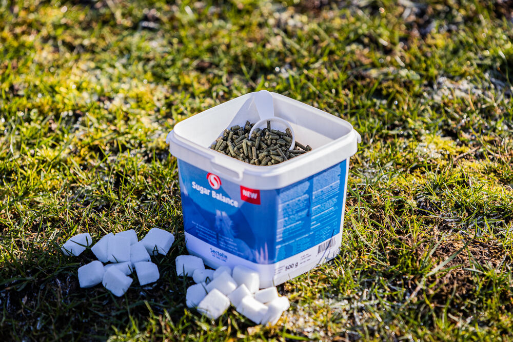 Sectolin Sugar Balance Brok - Suikerstofwisselingsupplement Paard - 500 Gram