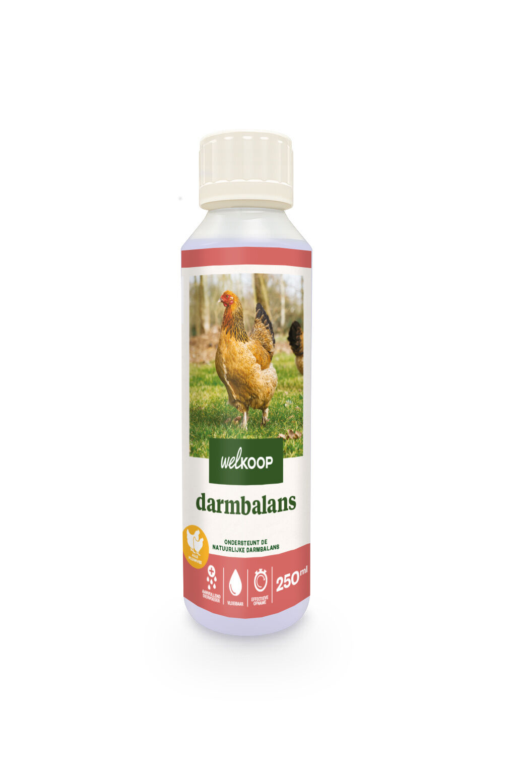 Welkoop - Darmbalans - Supplement Kip - 250 Milliliter