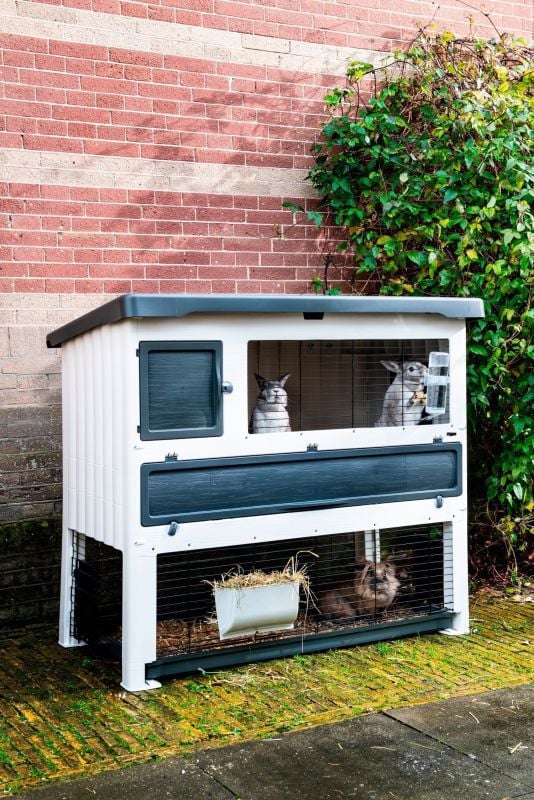 Ferplast Grand Lodge 140 - Konijnenhok - Grijs - 110x72x72 cm