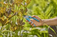 Gardena EasyCut - Snoeischaar - Blauw