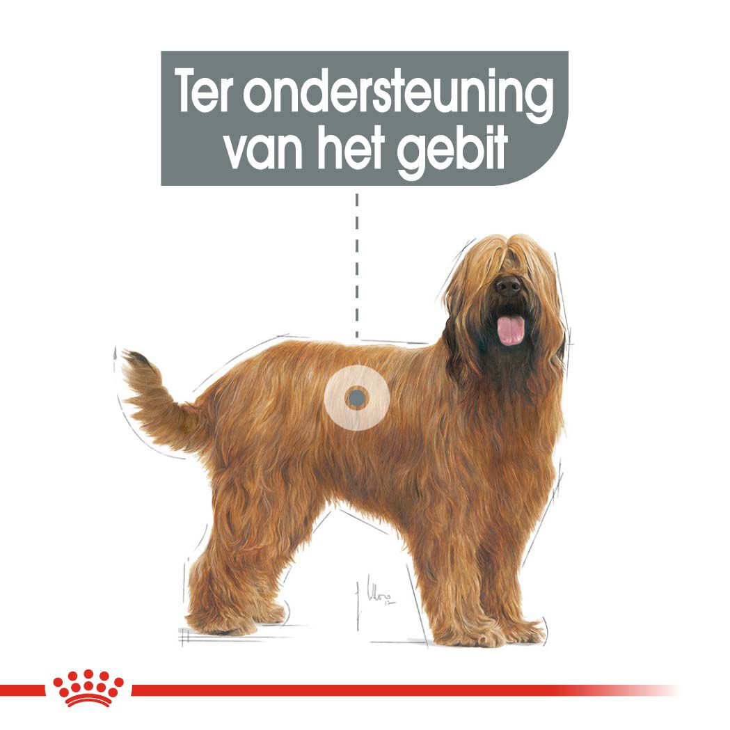 Royal Canin Dental Care Maxi - Hondenvoer - 9 Kilogram - gevogelte