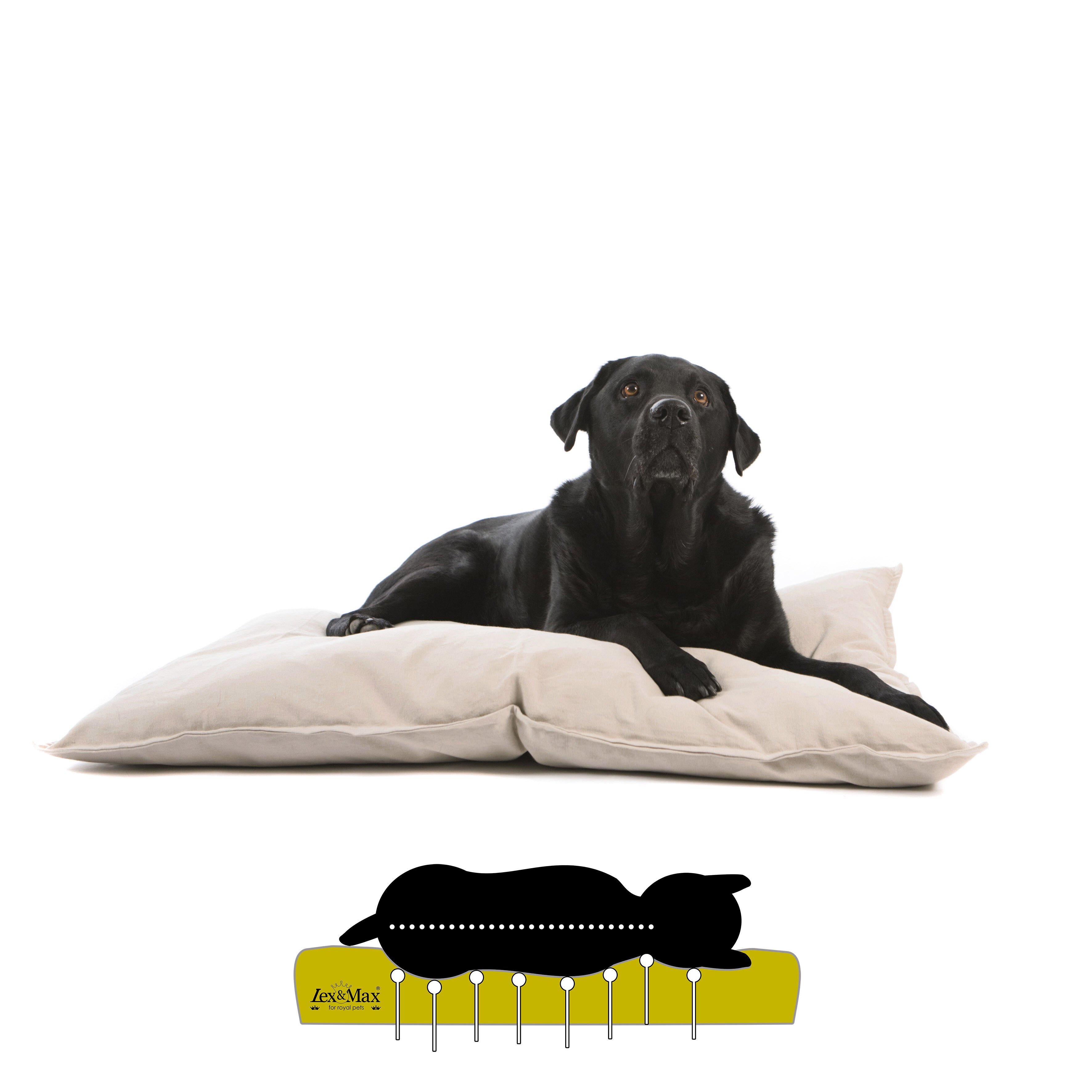 Lex & Max Tivoli - Orthopedisch Hondenkussen - Zand - 70x100x16 cm - L