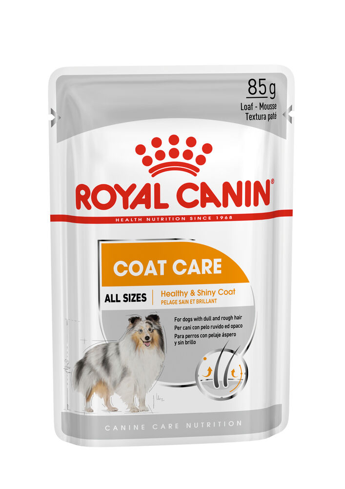 Royal Canin Coat Care Wet - Hondenvoer - 12x85 gram Royal Canin Coat Care Wet - Hondenvoer - 12x85 gram