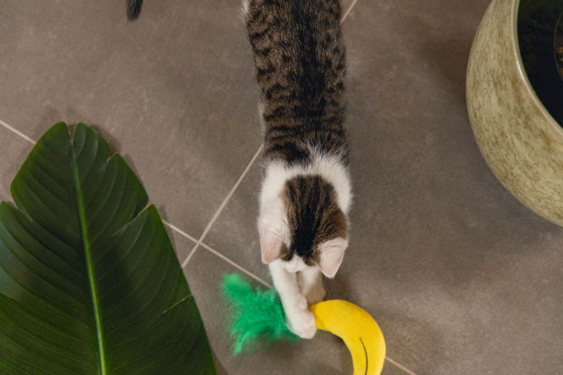 Beeztees Banaan Jungle - Kattenspeeltje - Geel